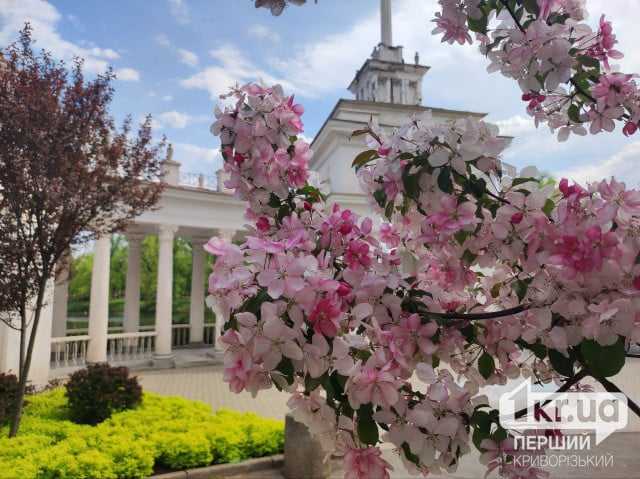 Якою буде погода у Кривому Розі в останні вихідні квітня