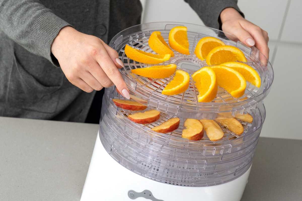 Сушилка для фруктов: как сохранить вкус и витамины круглый год