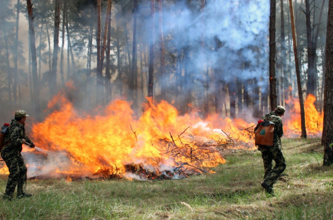 Дніпропетровщина: Шквальні вітри та висока пожежна небезпека! 🚨