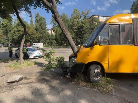 <strong>Кривий Ріг: Маршрутка зіткнулася з деревом, є постраждалі</strong>
