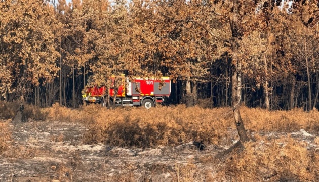 Українські рятувальники гасять пожежу у Франції