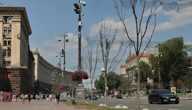 Уколом по молі: щеплення для каштанів Києва та України