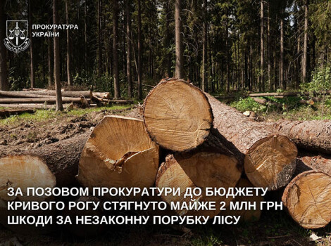 Криворізьке держпідприємство завдало збитків на 2 млн грн.