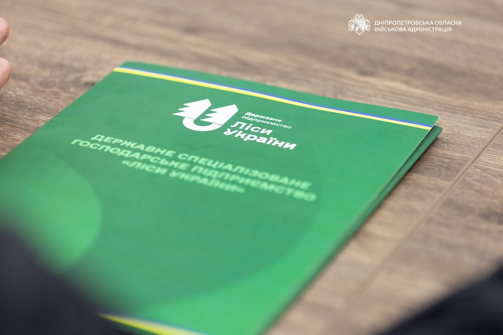 Лісовий аудит на Дніпропетровщині: інвентаризація триває